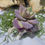 Thumbnail: Sheep Vertebrae Purple Bone Bouquet