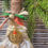 Thumbnail: 10" 'Yuletide' Altar Broom