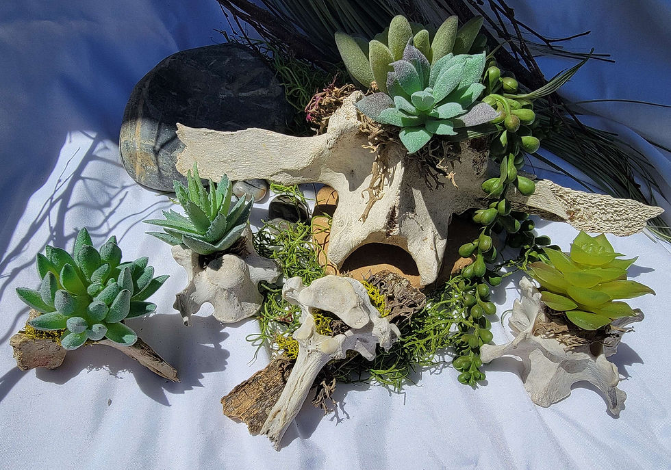 Thumbnail: Large Vertebrae Green Bone Bouquet