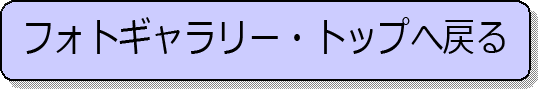 フォト・トップへ.gif