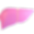 Liver