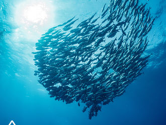 A Thousand Million Lives Published