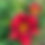 Thumbnail: Siloam Helpmate
