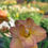 Thumbnail: Frances Joiner