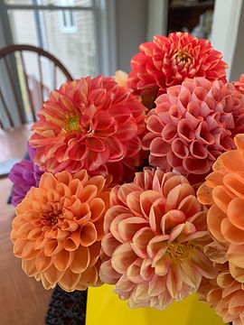 Dahlia arrangement