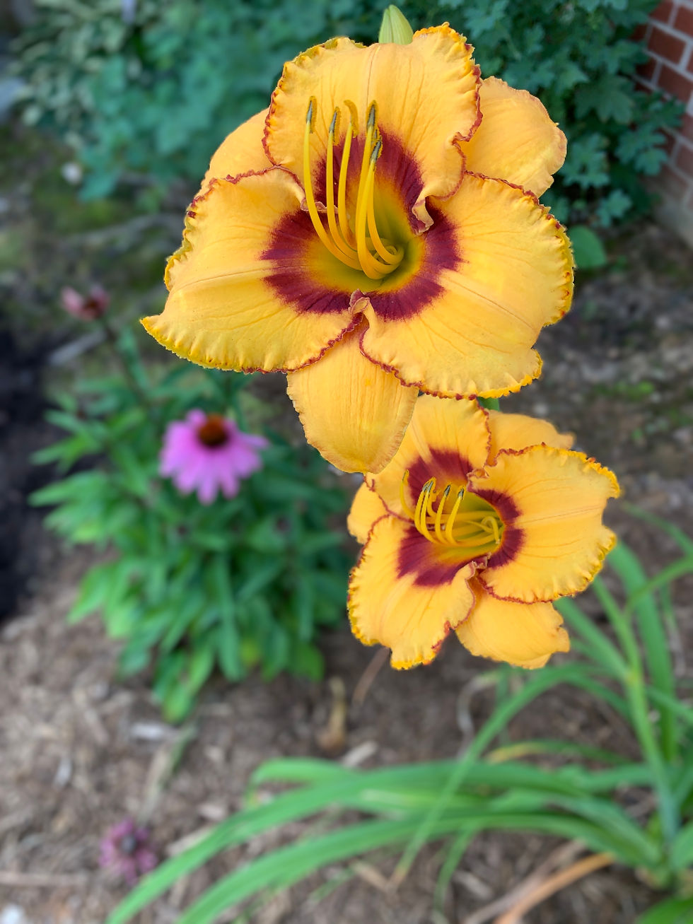 Thumbnail: Two Part Harmony