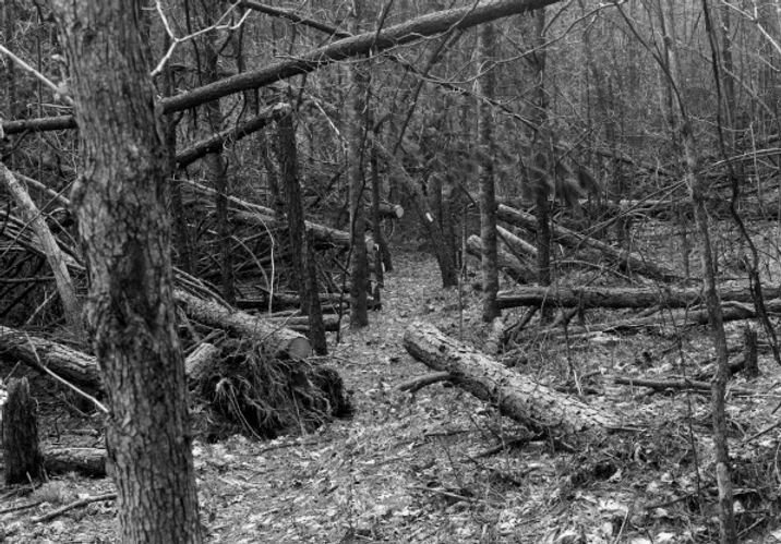 1984 Crawfish Valley Damage.png
