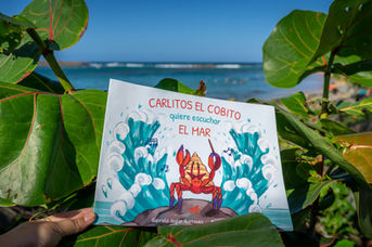 Book cover for Carlitos el cobito. A hermit crab with sunglasses is dancing.
