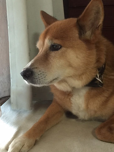 securedownload[1] (1).jpg