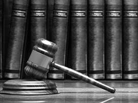 PROPERTY LITIGATION