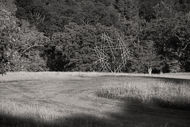DSC09383_bw.jpg