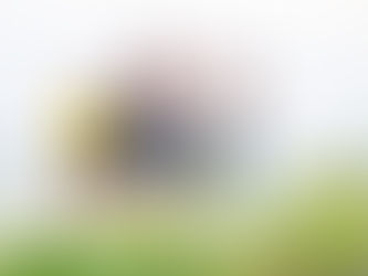 子どもと家族の写真(沖縄県石垣市)