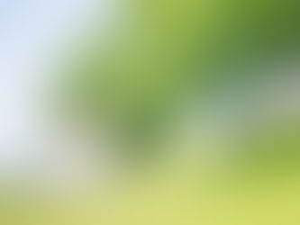 子どもと家族の写真（広島県福山市）