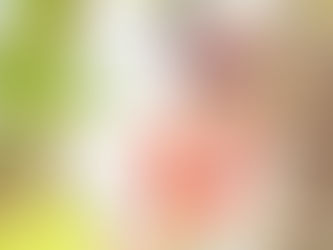 七五三の写真（滋賀県草津市）