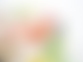 ニューボーンの写真(大阪府枚方市)