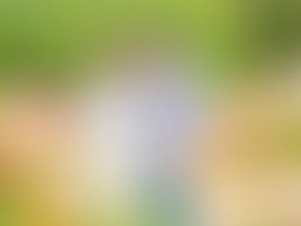 子どもと家族の写真（大阪府豊中市）