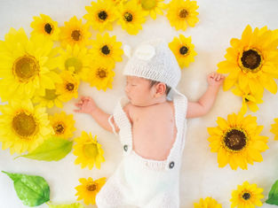 ニューボーンの写真（広島県福山市）