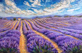 lavender fields.jpg