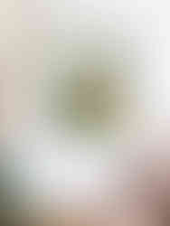 Aquarell Illustration Freiburger Münster als Kunstdruck – Souvenir aus Freiburg