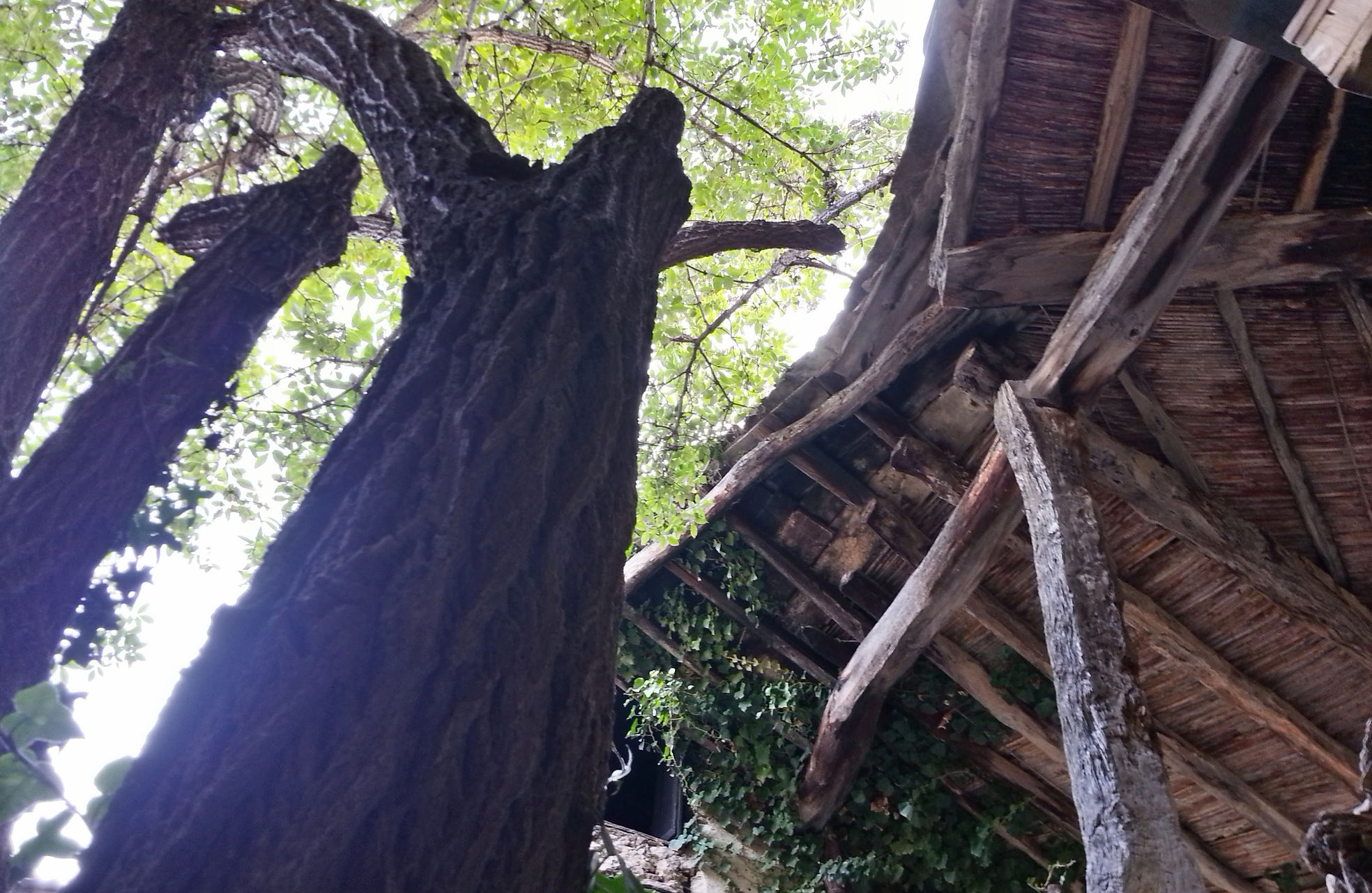 20160803_184845_HDR.jpg