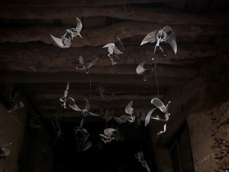 Sophie Dickens exhibition in Trastanello and concert