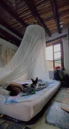 20240901_194617.jpg