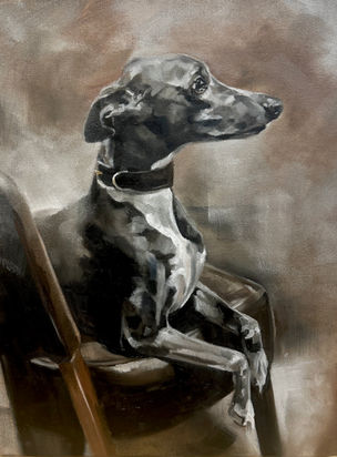 custom commission pet portrait whippet sighthound lurcher greyhound