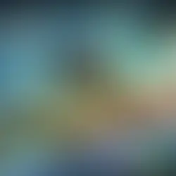 The Hospitality Market in the DRC: Thriving Against the Odds