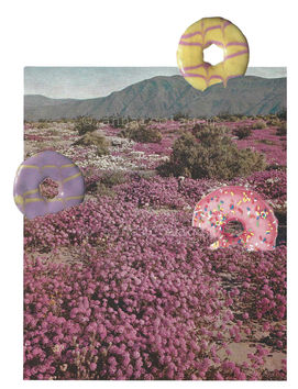 2021 - Miragem8-2 copy 2.jpg