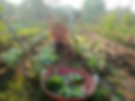 WhatsApp Image 2025-05-24 at 18.39.52_8d62c94d.png