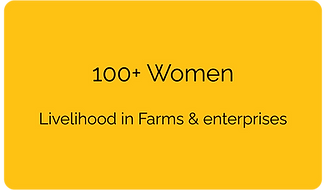 100+ Women Livelihood in farms & enterprises