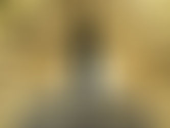 El alma como densidad resonante: una estructura viva en expresión infinita