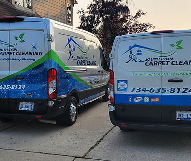 Top Rated Carpet Cleaning Services Near Me
