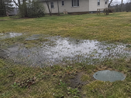 Standing Water Over Your Septic Field: Is Your Tank Full or Is the Field Failing?