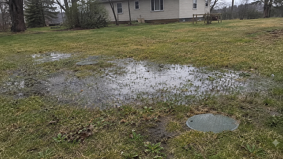 Standing Water Over Your Septic Field: Is Your Tank Full or Is the Field Failing?