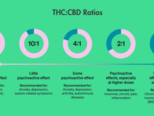 THC Ratios Explained