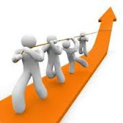 DELEGACIÓN COLECTIVA.