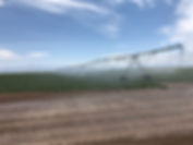 IMG_1564.jpeg