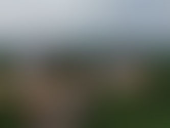 Arsitektur Hunian di IKN: Pendekatan Fasad Modern Tropis pada Rusun ASN 3