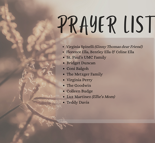 Teal Illustrated Lily Facebook Post-5 8.58.27 AM.png