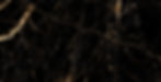 GoldCrackedBlackBG.jpg