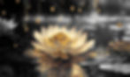 GoldenLotus_2.jpg