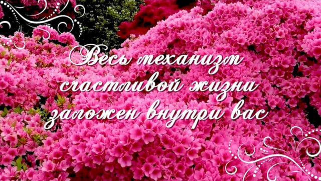 ves-mehanizm-schastlivoj-zhizni-zalozhen