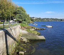 20210930_164709.jpg