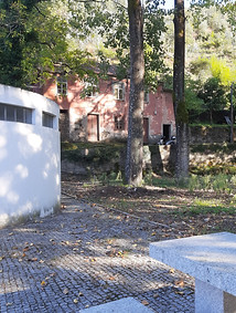 20211007_171231.jpg