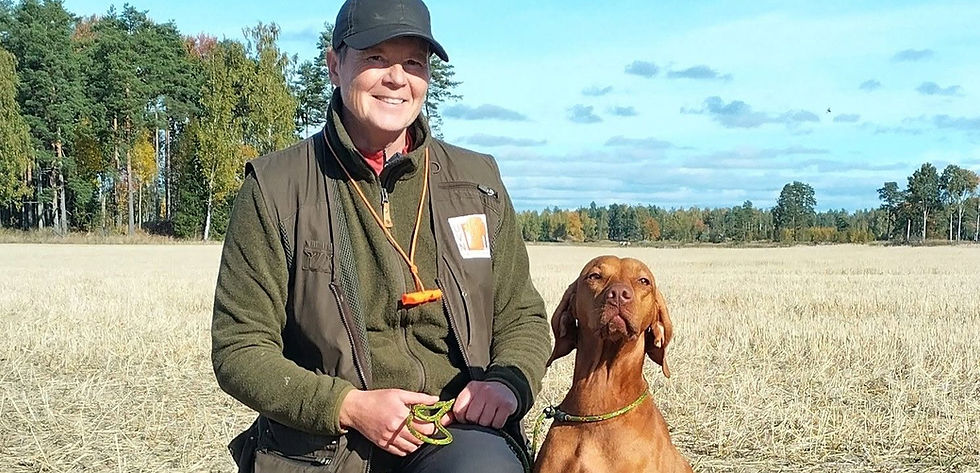 Sussy med 2AK og 3AK lavland!
