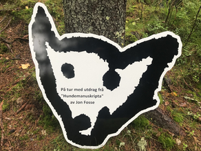 Er vizslaen din kulturinteressert?