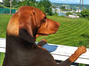 Rallylydighetskurs i november