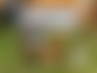 Dolly med ny premie på høyfjell!