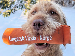 Årsmøte i UVN avholdes 15. april
